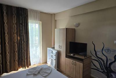 Vanzari pensiuni in Eforie Nord - 14