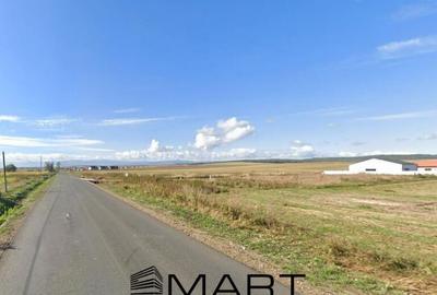 Teren 670mp casa/duplex cu proiect si autorizatie Sura Mica - 2