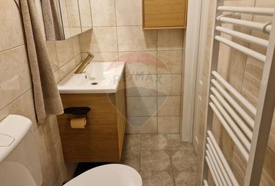 Apartament cu 2 camere de inchiriat in zona Gheorgheni - 8