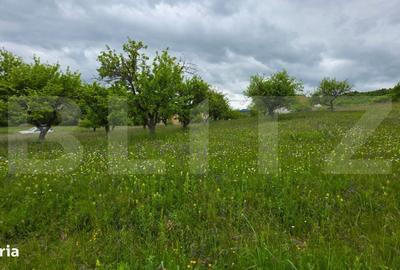 Spațiu comercial, în Slătinița - 2