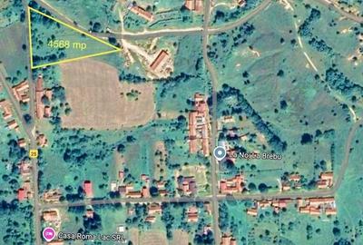 Teren intravilan 4.568 mp, 2 fronturi – Brebu Nou, Caraș-Severin - 1