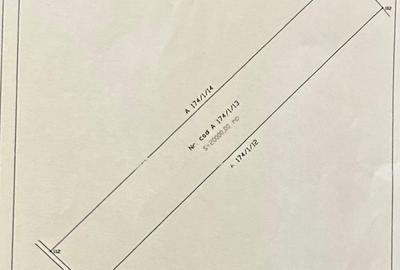 Teren de 20000 mp, în Central