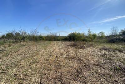 Teren 2000 mp intravilan Smeura-Mosoaia. Comision 0% - 2