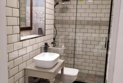 Casă cu 3 camere cu Teren 824 Mp în Elisabetin - 4