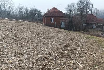 Casă cu 4 camere în Răchitova - 9