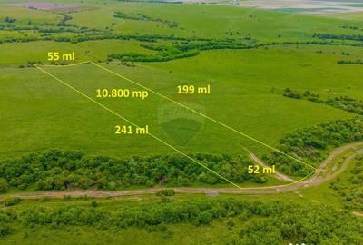 Teren de 10800 mp, în Râșnov - 5