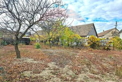 Casa veche cu teren 929 mp- oportunitate in Vladimirescu- comision 0% - 6