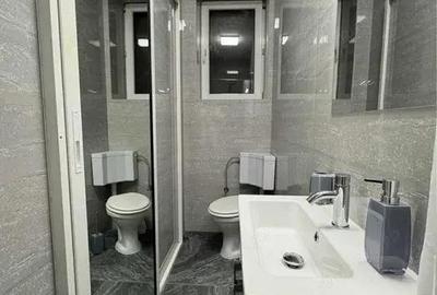 Inchiriez ap. o camera in Zona Aradului, parter, suprafata utila de 36 mp. - 3