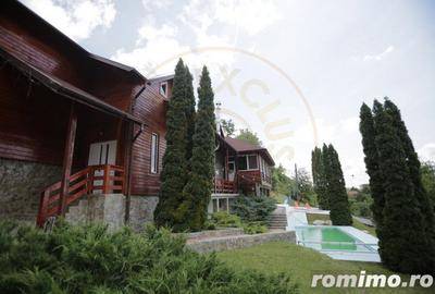 Spațiu comercial, de 750 mp, în Baia de Fier - 12