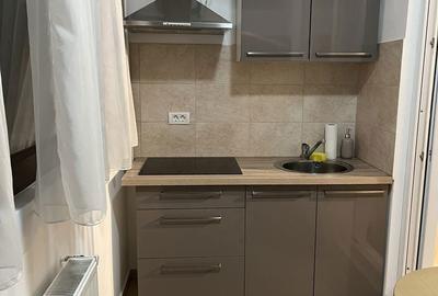 Apartament cu 2 camere în Roșu - 8
