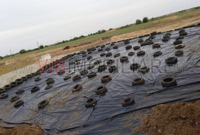 Teren de 40000 mp, în Cenad - 19