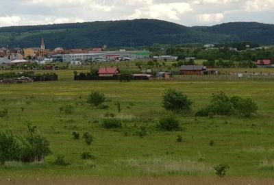 Vand teren arabil 1000 mp.,  Selimbar in zona Troita pe str. Aleea Monumentului Vand teren arabil 1000 mp.,  Selimbar in zona Troita pe str. Aleea Monumentului - 6