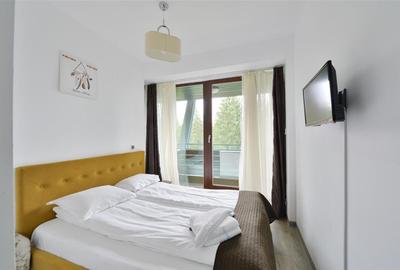 Apartament confortabil 3 cam Silver Mountain - 9