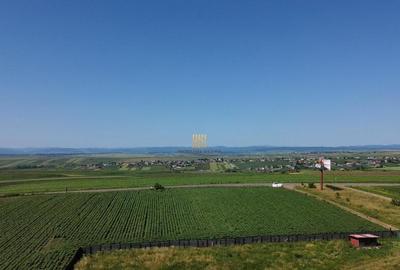 Teren Intravilan 36977 mp E 85 Intrare in Municip... - 11