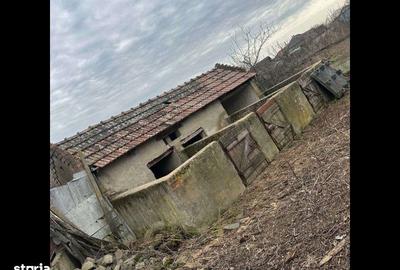 Casă cu 3 camere cu Teren 1000 Mp în Socodor - 1