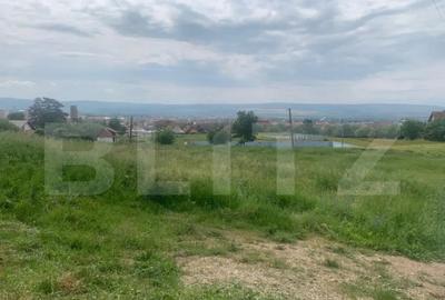 Teren de 1005 mp, în Cetate - 2