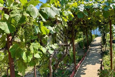 Casa individuala P+1+M,teren 900mp,zona Modern - 23