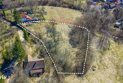 Spațiu comercial, în Vâlcele - 1