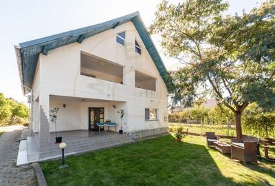 Casa visurilor cu livada roditoare si gradina amenajata - 1