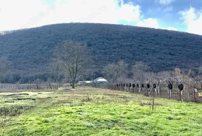 Casă cu 4 camere cu Teren 2000 Mp în Slava Cercheză - 7