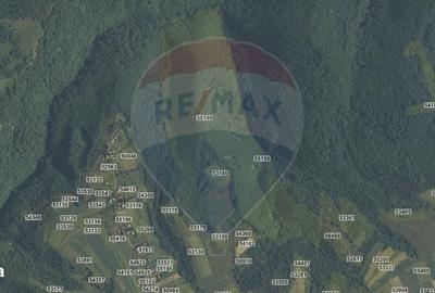 Spațiu comercial, în Căpușu Mare - 5