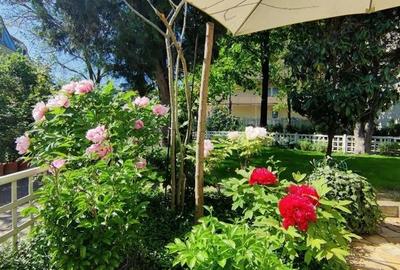 BIJUTERIE ISTORICA SI RAR DE VANZARE in zona ARMENEASCA BIJUTERIE ISTORICA SI RAR DE VANZARE in zona ARMENEASCA - 2