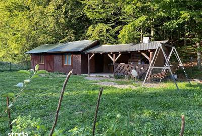 Teren de 850 mp, în Dumbrăvița - 9