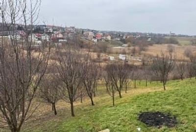 Teren agricol intravilan de 4320 mp, în Central - 5