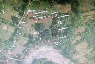 Teren de 7489 mp, în Hotarele - 5