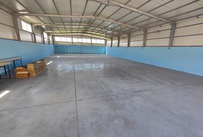 Hala noua depozitare/productie/logistica, zona Prejmer, 1200mp - 5