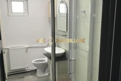 Garsonieră decomandată, mobilată în Costin Georgian - 7