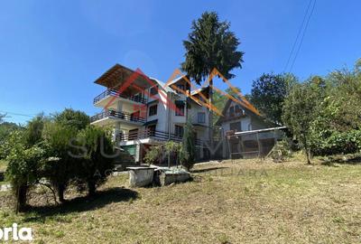 Casă cu 7 camere cu Teren 3100 Mp în Poiana - 18