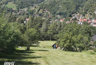 Teren de 1450 mp, în Bran - 4