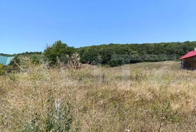 Teren 10200mp , toate utilitatile , la 10 km de DEJ Teren 10200mp , toate utilitatile , la 10 km de DEJ - 3