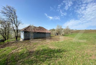 Casa cu 10000mp de teren in Buza, la 50 km de Cluj-Napoca - 8