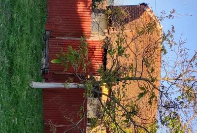 Casă cu 3 camere în Buteni - 1