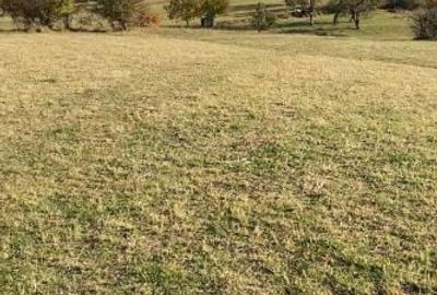 Teren de 972 mp, în Gura Râului - 5