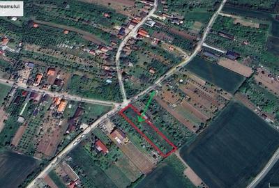 De vanzare Teren extravilan 2000 mp Carei - Gradina Viilor, Valea Tireamului - 9