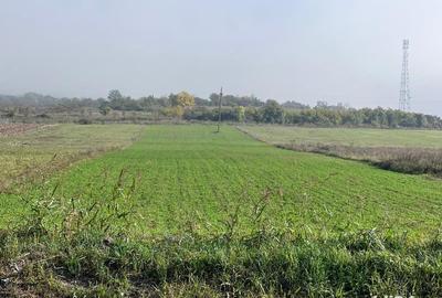 Teren de 5450 mp, în Central