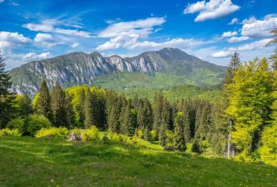 Teren intravilan cu potential turistic si de agrement, zona Trei Brazi - 13