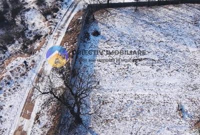 Teren intravilan 1000 mp – Alexandru cel Bun - 1