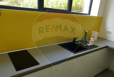 Spa?iu comercial Vanzare cu Chiriasi | Taietura Turcului - 2