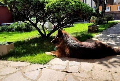 Casă cu 4 camere cu Teren 260 Mp în Central - 3