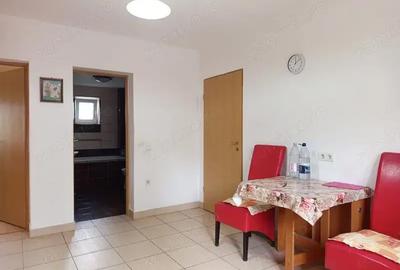 Casă cu 6 camere în Mintia - 14
