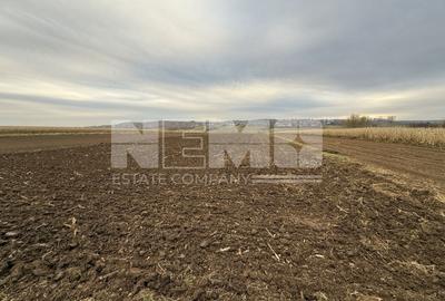 Teren Construcții extravilan de 10000 mp, în Grănicești - 1