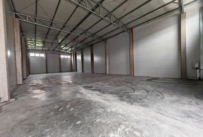 Spatiu depozitare/productie 500 mp, zona Sud - 20