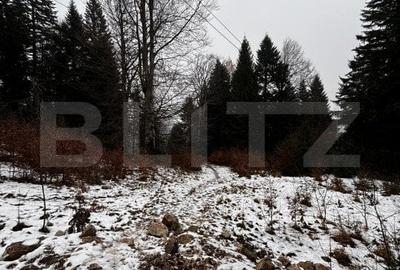 Teren unic, exclusivist  4000 mp, in inima muntilor, Sinaia - 4