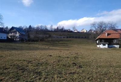 Vanzare teren Moeciu - Brasov - 6000 mp - 4