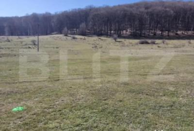 Teren de 1111 mp, în Central