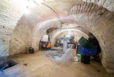 Imobil renovat, 2 apartamente, gradina ?i garaj Turnu - 18